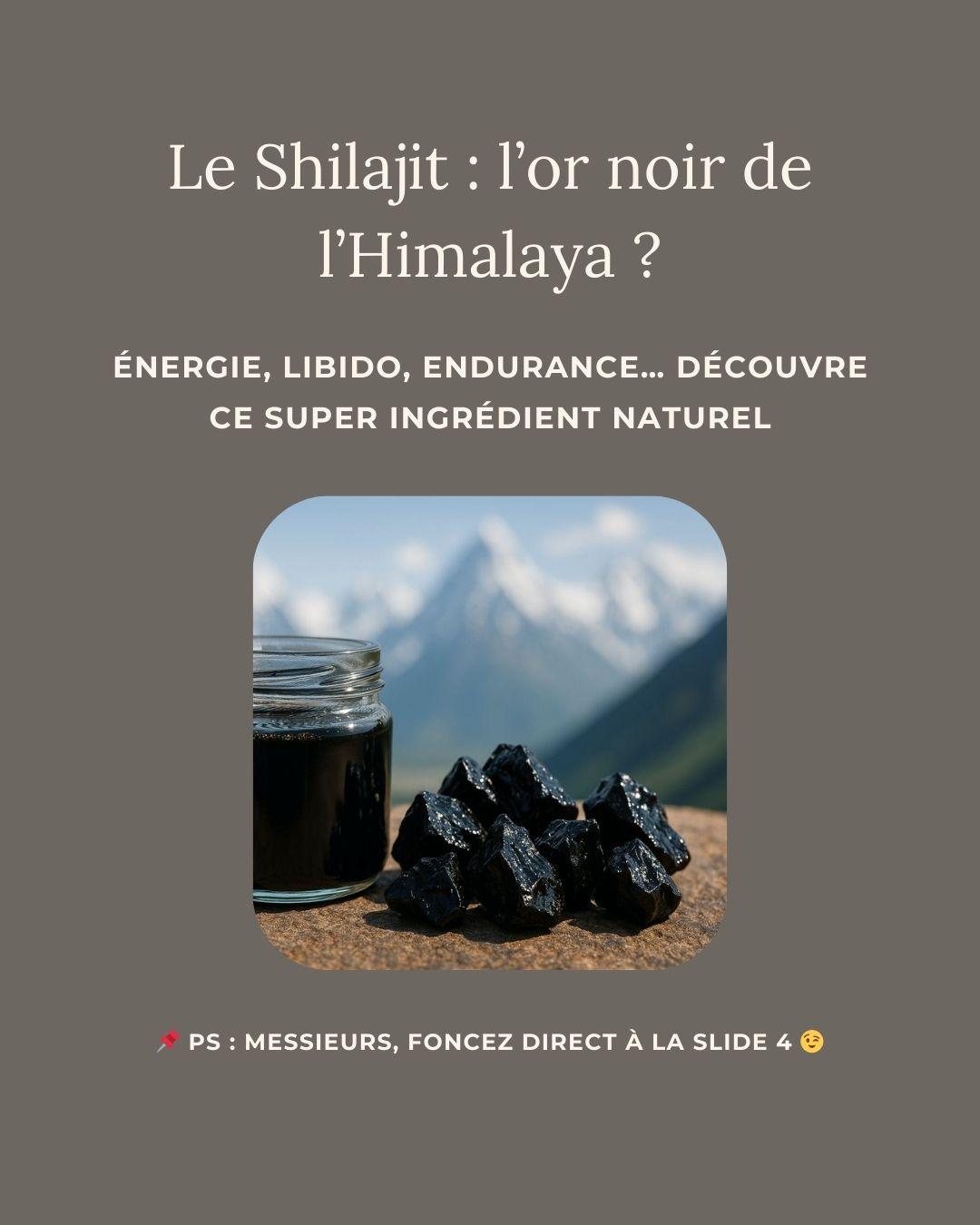 Shilajit & vitalité